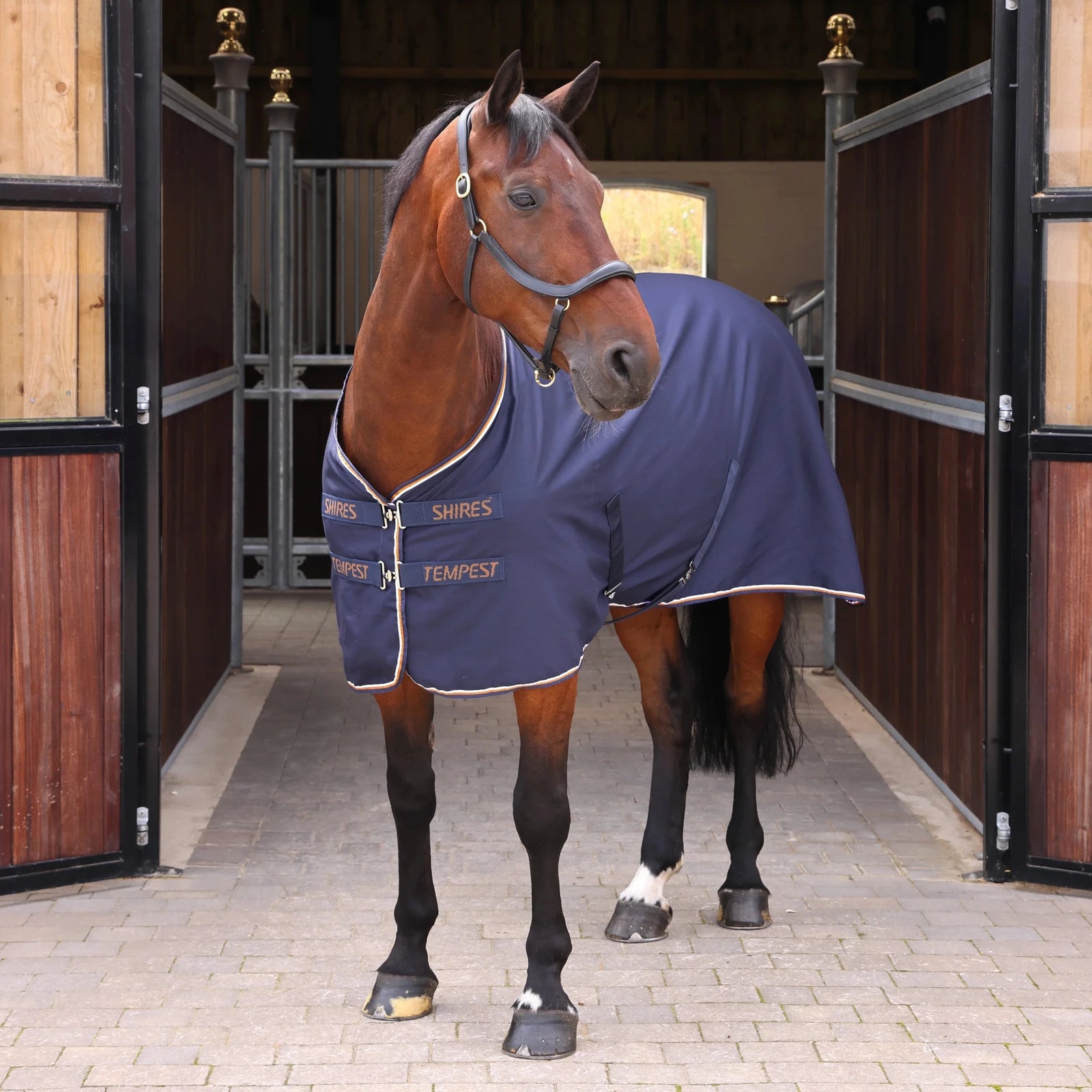 Tempest Original Stable Sheet - Nags Essentials