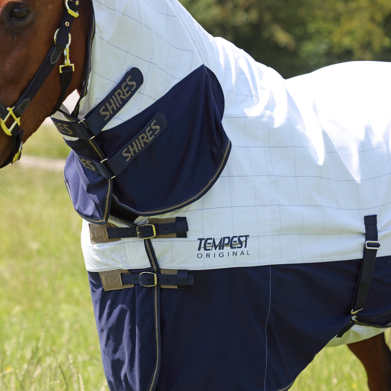 Tempest Original Summer Shield with Mesh - Nags Essentials