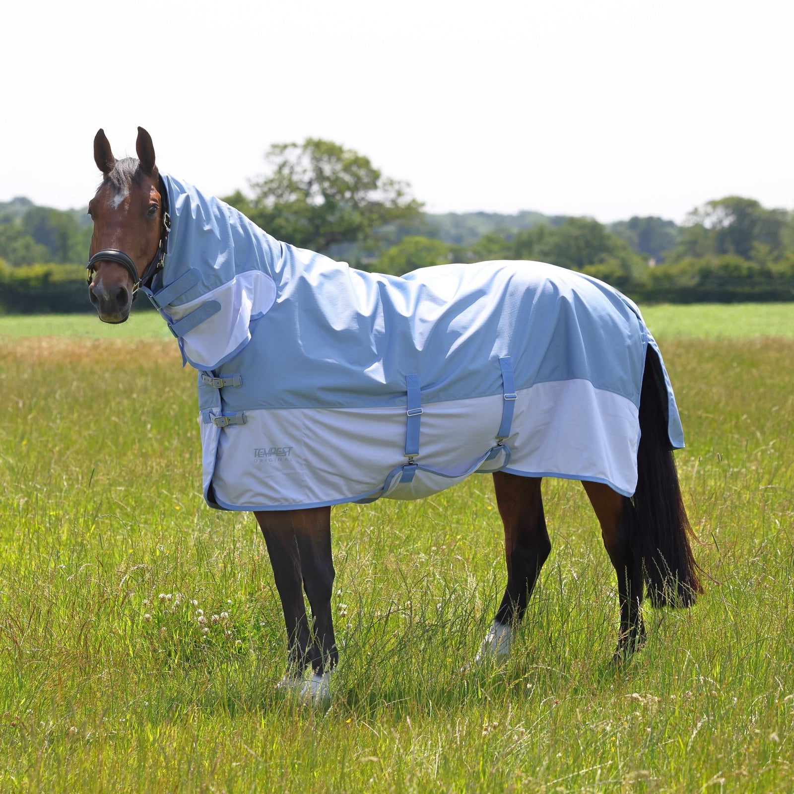 Tempest Original Waterproof Fly Rug - Nags Essentials