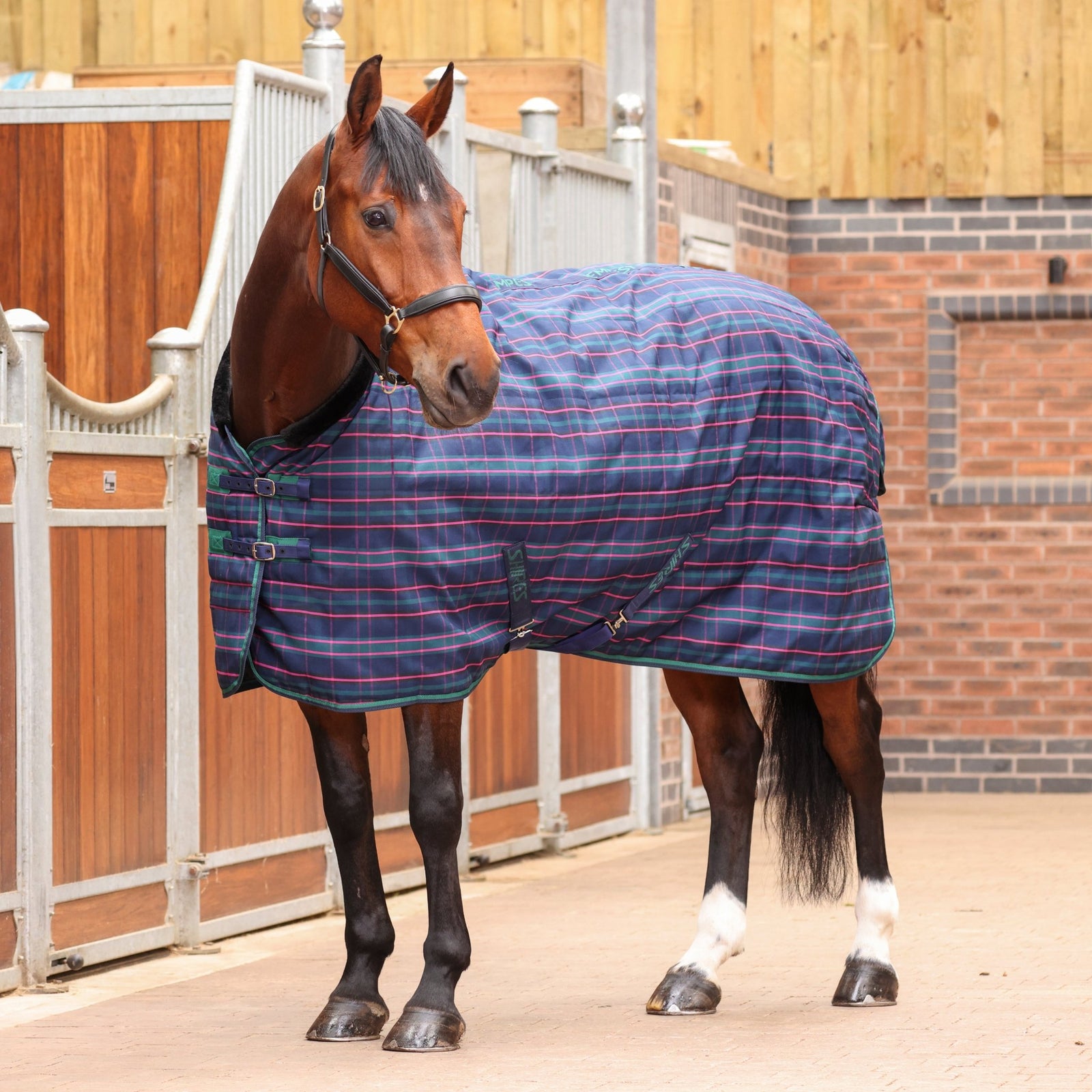 Tempest Plus 100 Stable Rug - Navy Tartan - Nags Essentials