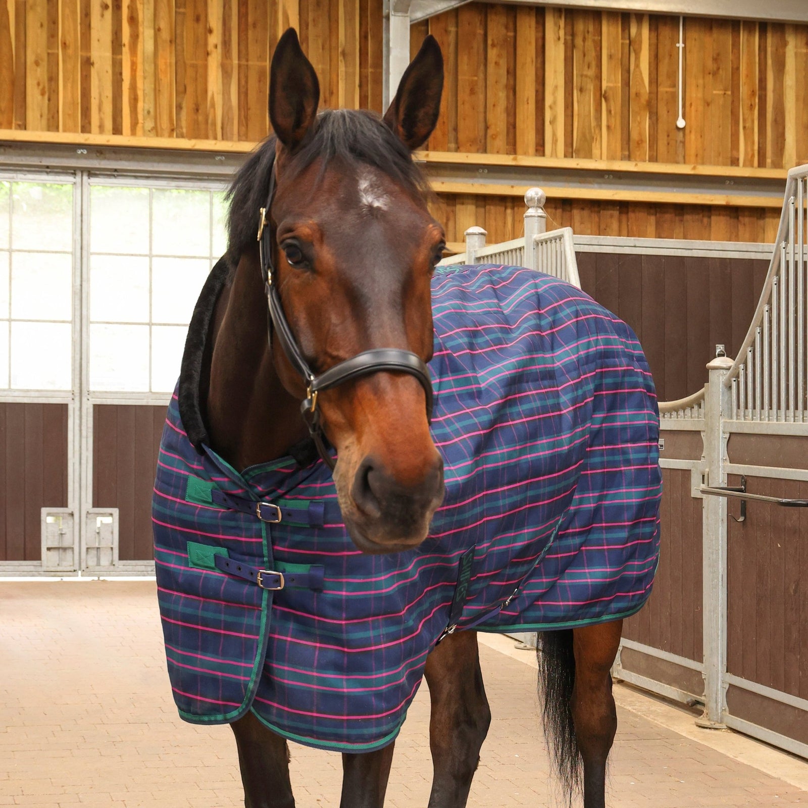 Tempest Plus 100 Stable Rug - Navy Tartan - Nags Essentials