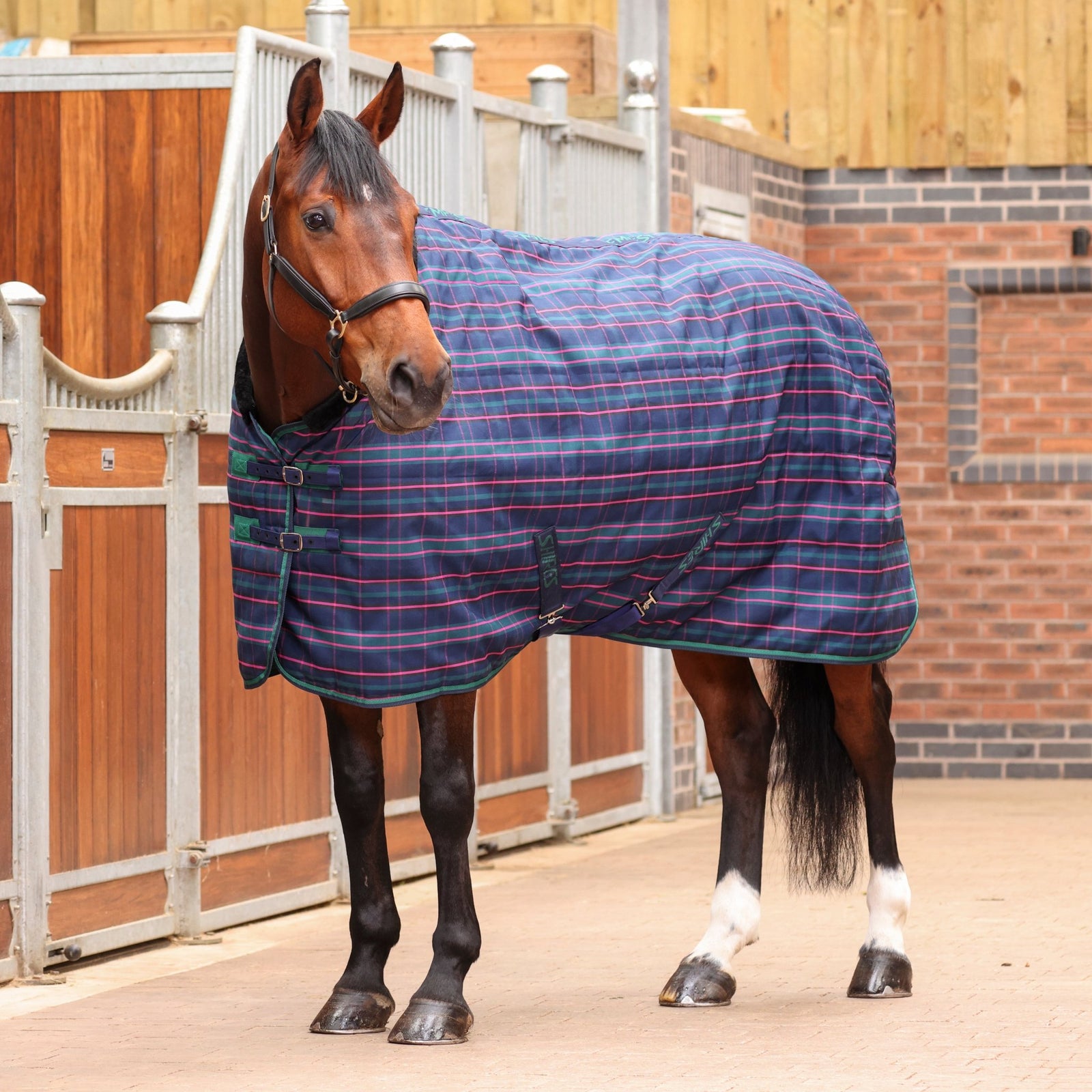 Tempest Plus 100 Stable Rug - Navy Tartan - Nags Essentials