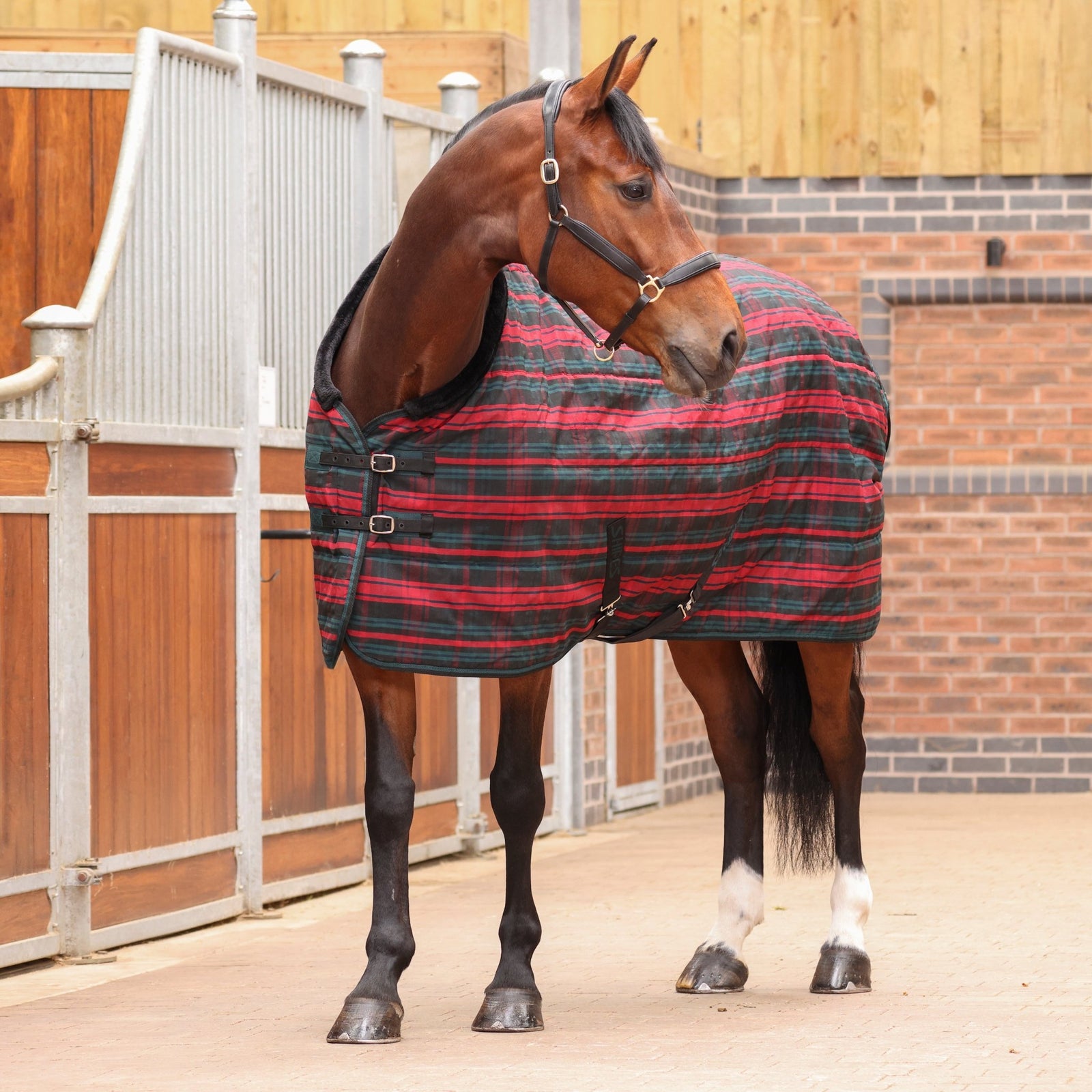 Tempest Plus 200 Stable Rug - Red Tartan - Nags Essentials