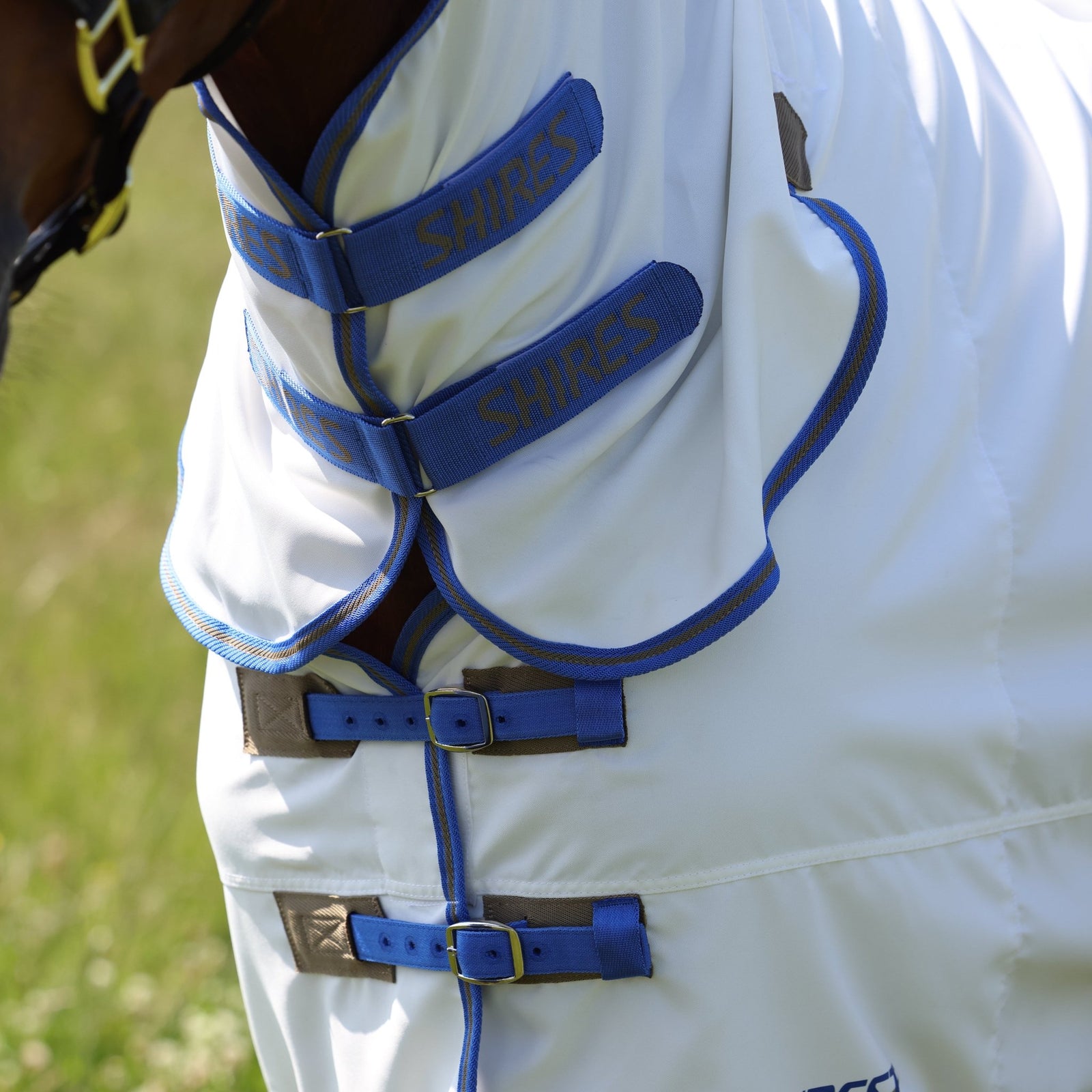 Tempest Plus Sweet - itch Combo Rug - Nags Essentials