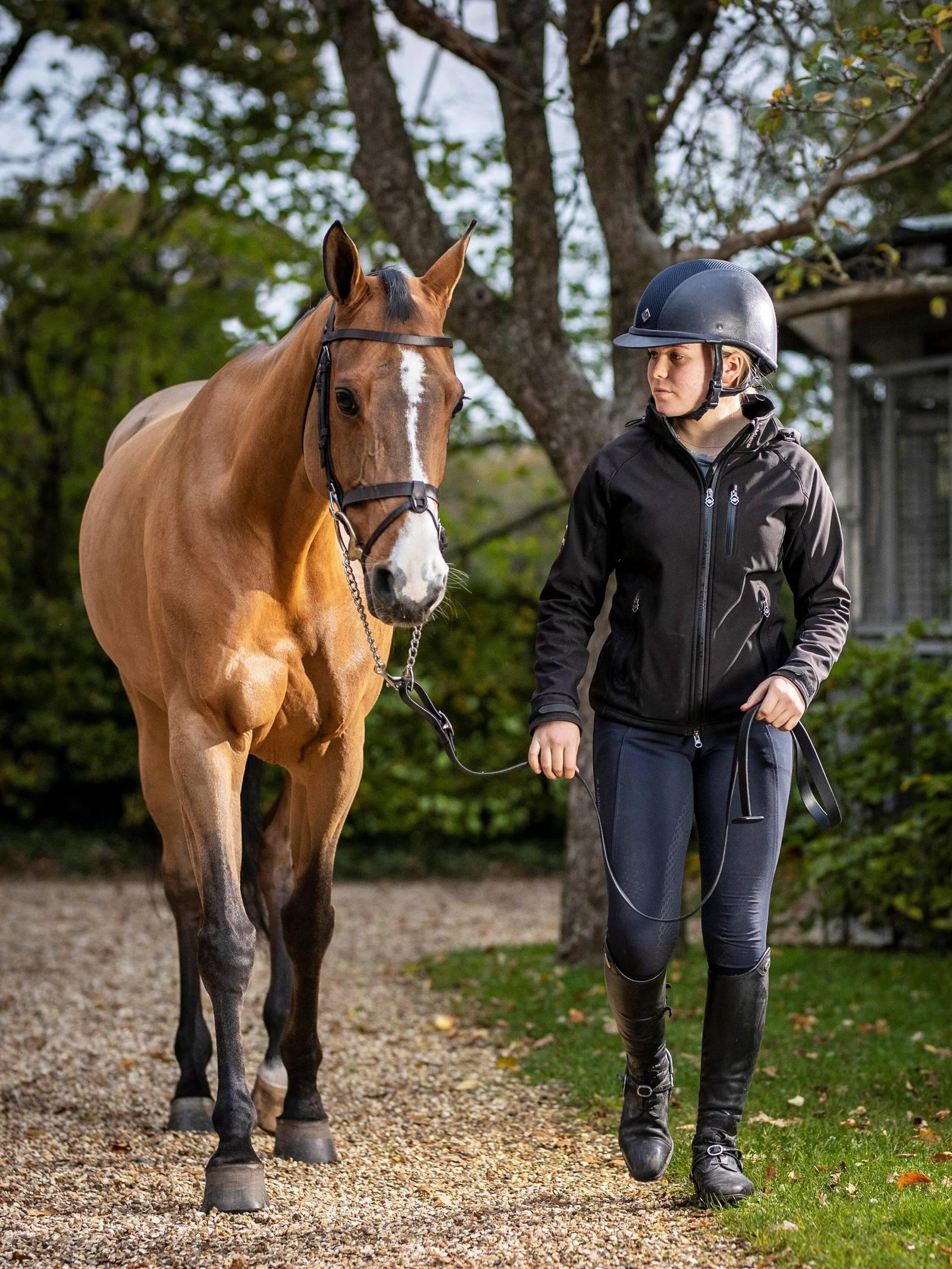 LeMieux Leather Trot Up Chain