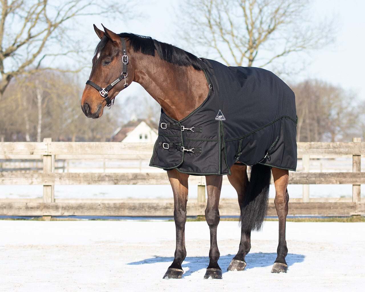 Turnout Combo Set/ Under Rug + Neck 200g - Black - Nags Essentials