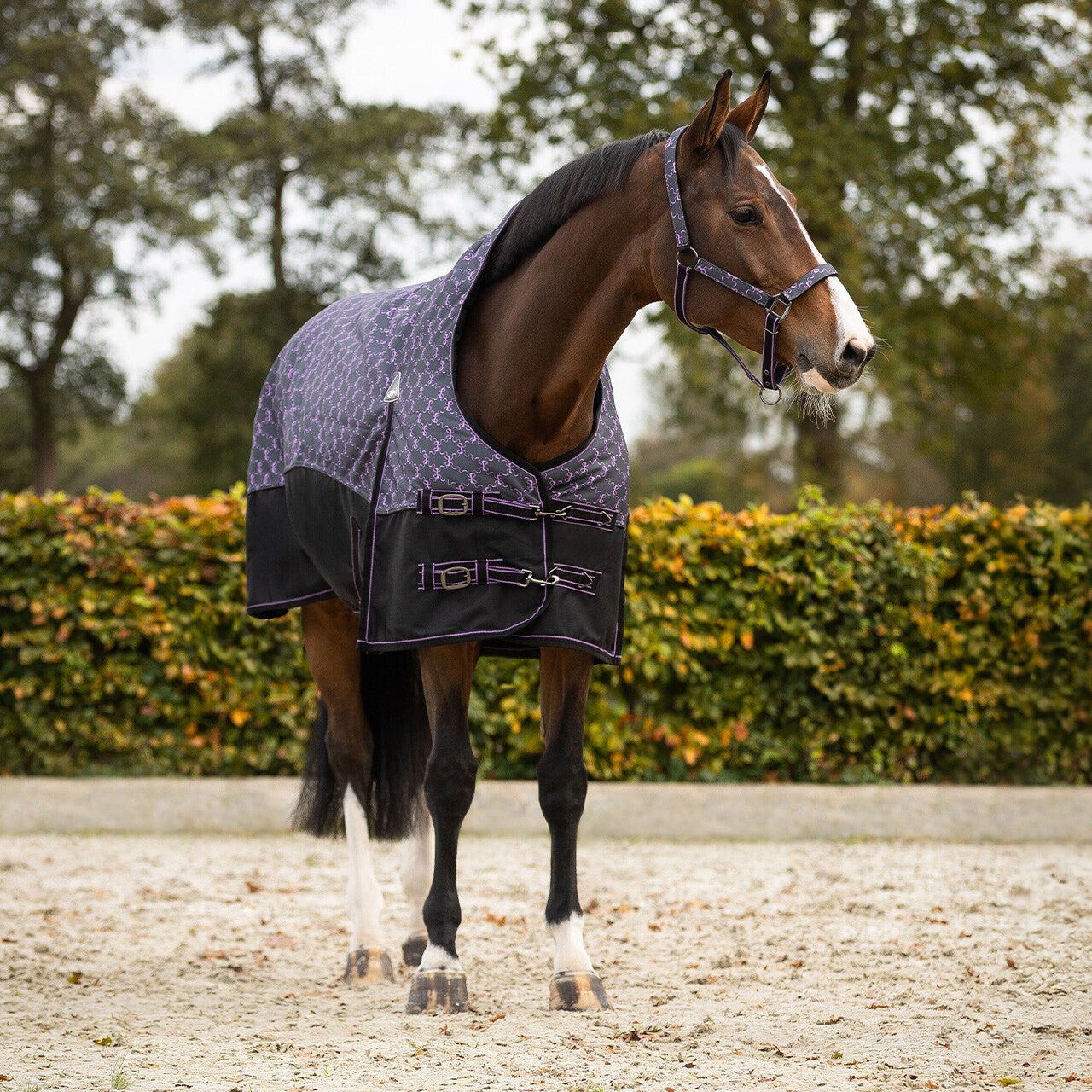 Turnout Rug 1200D Collection Half Neck 150g - Nags Essentials