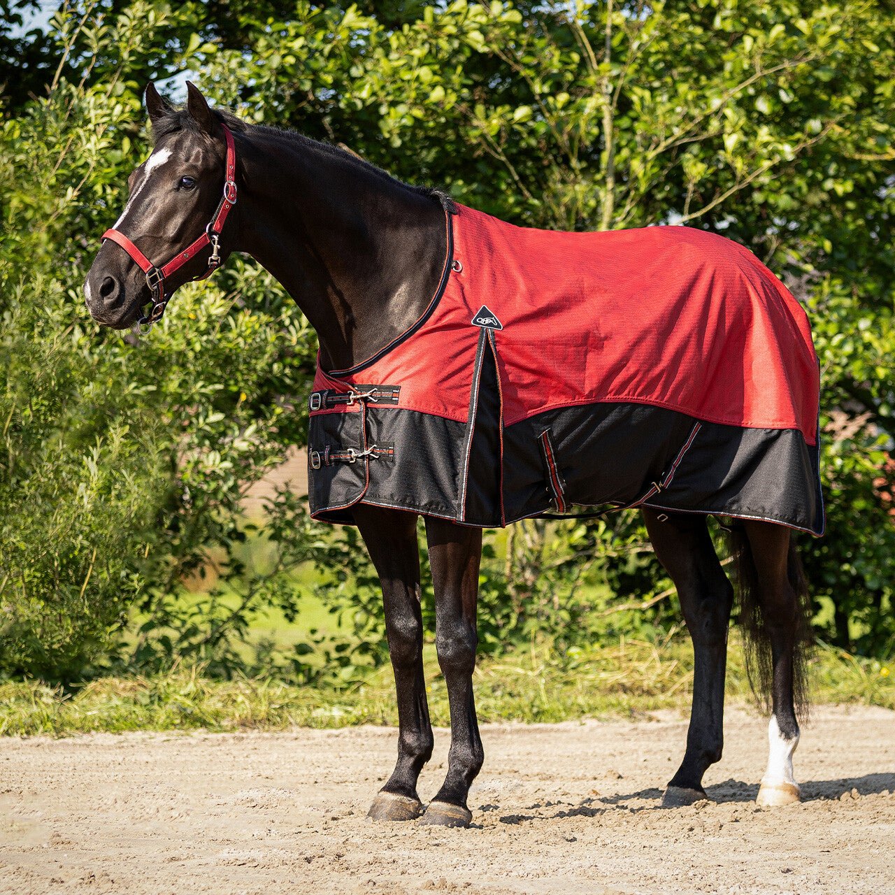 Turnout Rug Collection Fleece Lining - Nags Essentials