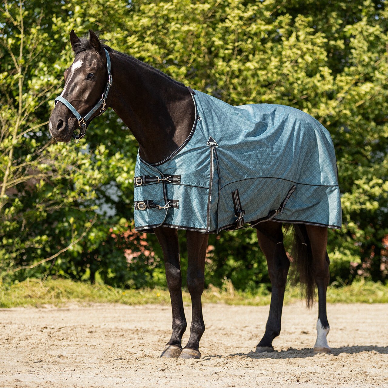 Turnout Rug Collection Fleece Lining - Nags Essentials