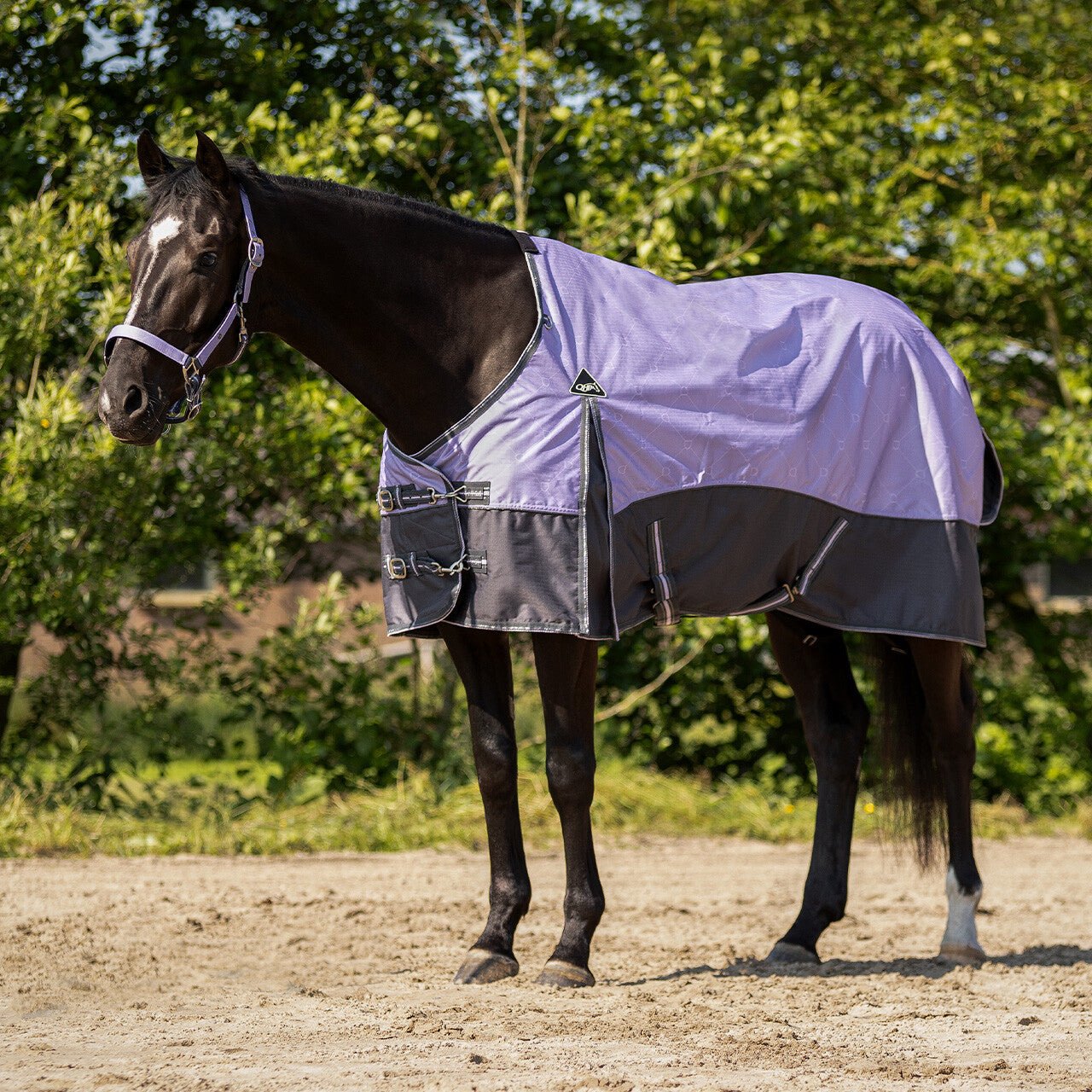 Turnout Rug Collection Fleece Lining - Nags Essentials