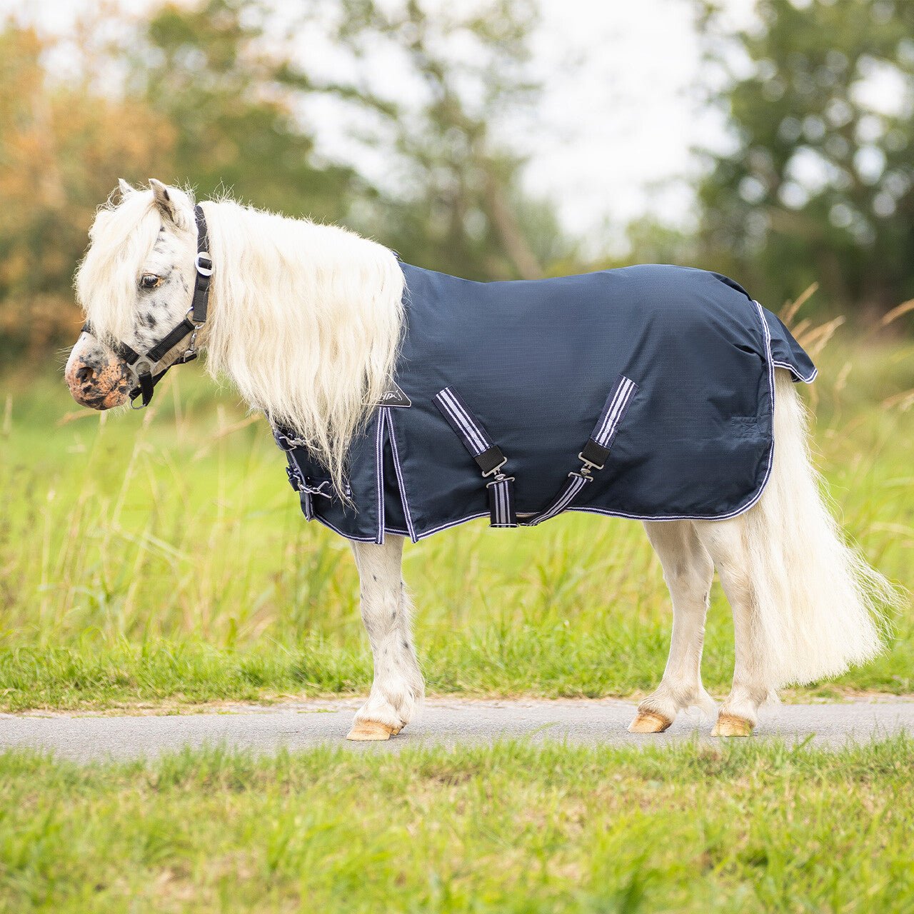 Turnout Rug - Falabella 200g - Nags Essentials