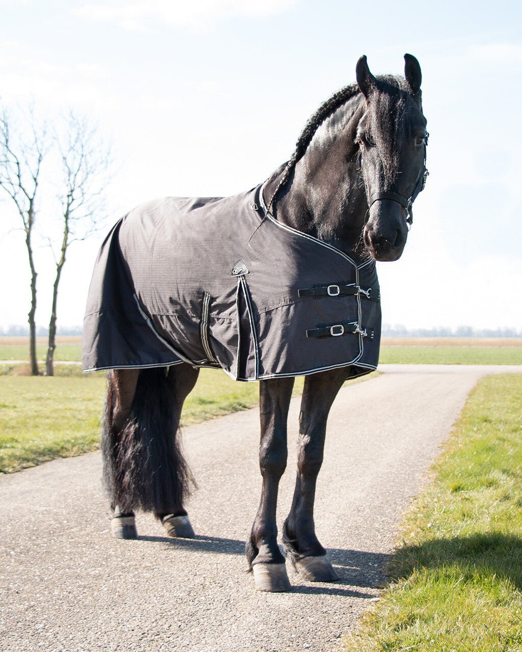 Turnout Rug XL 0G - Black - Nags Essentials