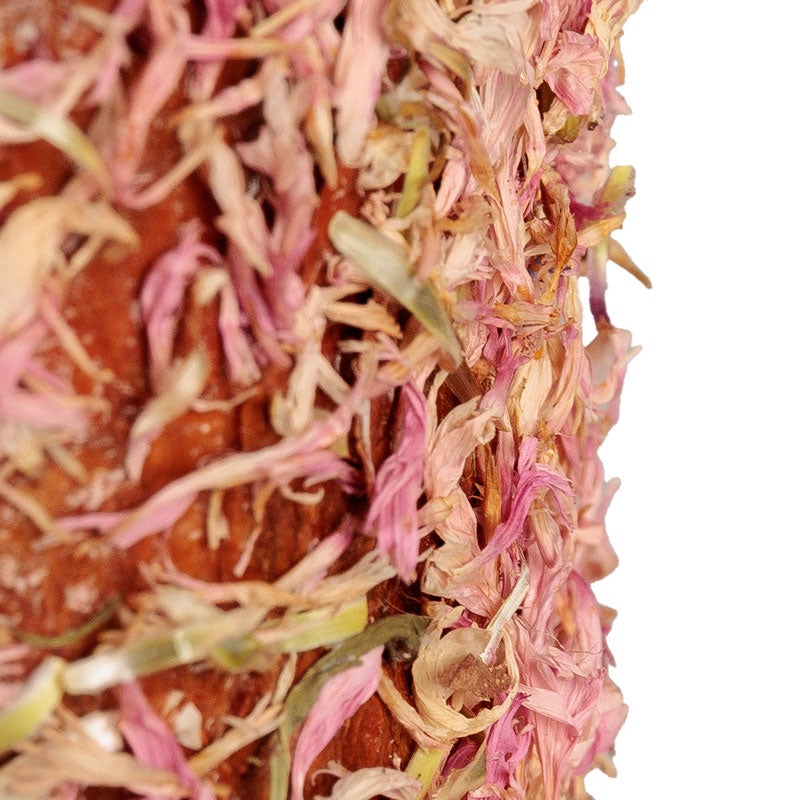 Grooming Deluxe Wooden Relax Horse Toy – Unicorn Joy