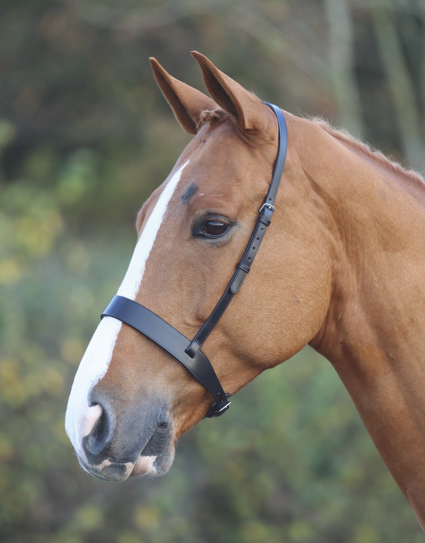 Velociti GARA Hunter Cavesson Noseband - Nags Essentials