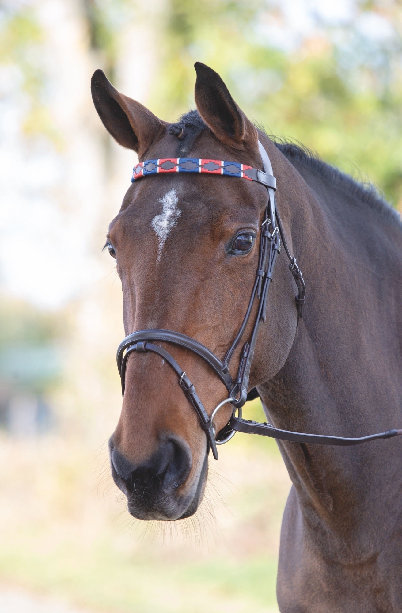 Velociti GARA Leather Polo Browband - Nags Essentials