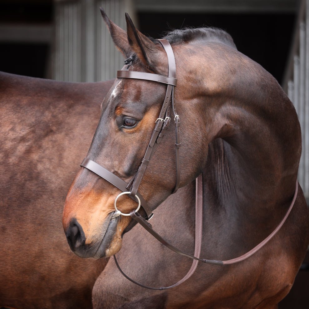 Velociti GARA Plain Bridle - Nags Essentials
