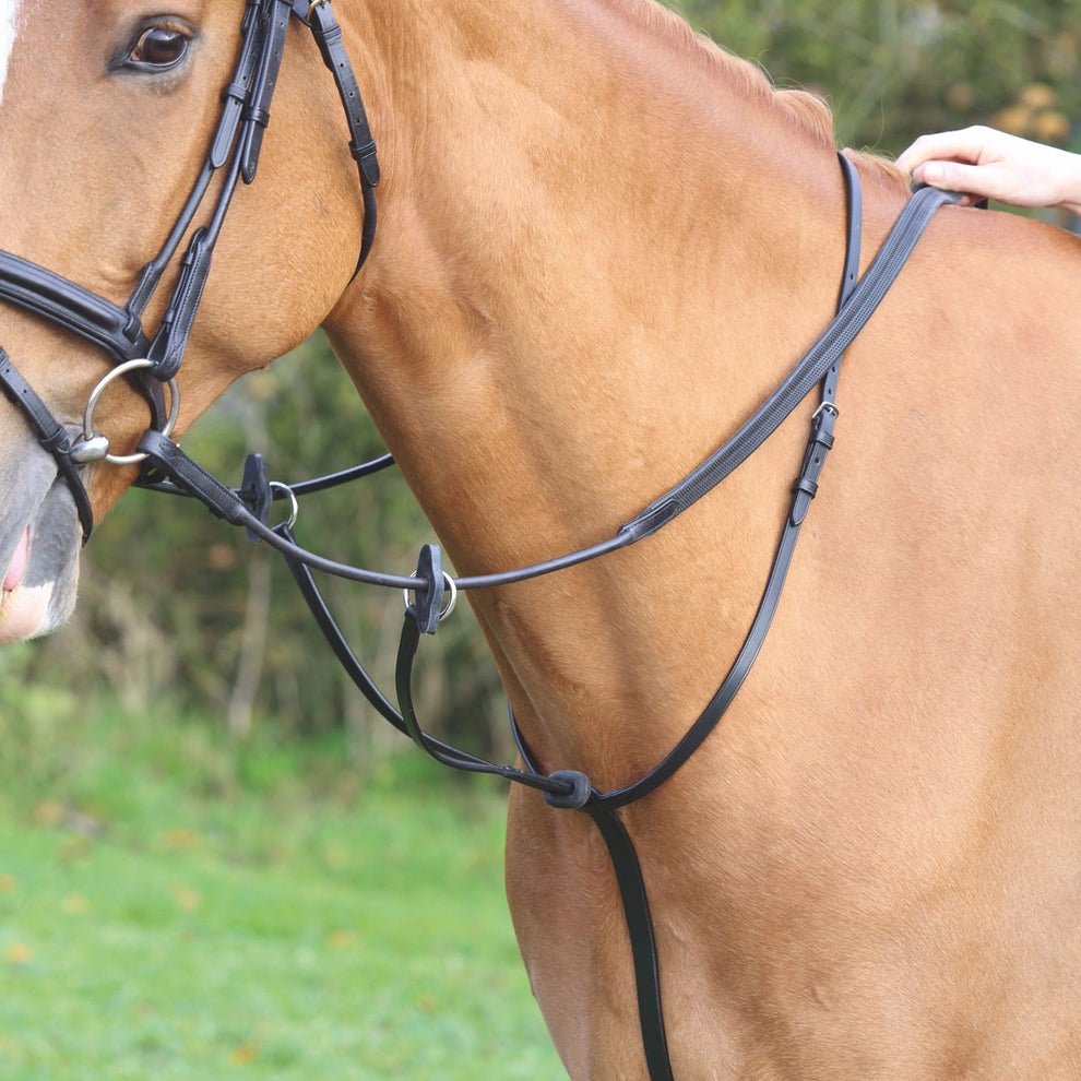 Velociti GARA Running Martingale - Nags Essentials