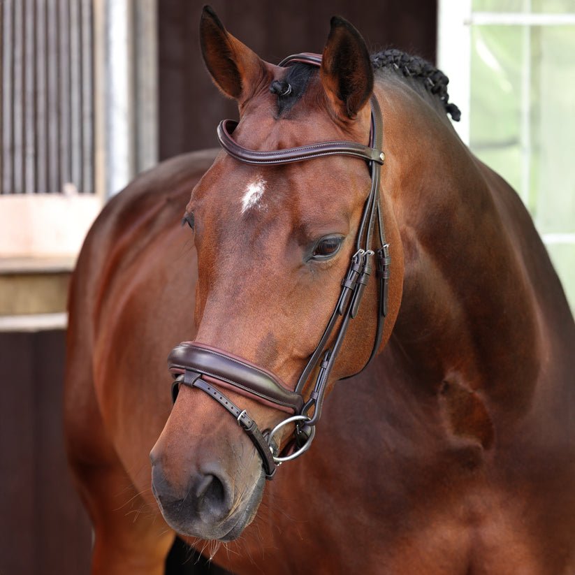 Velociti LUSSO Elite Dressage Flash Bridle - Nags Essentials