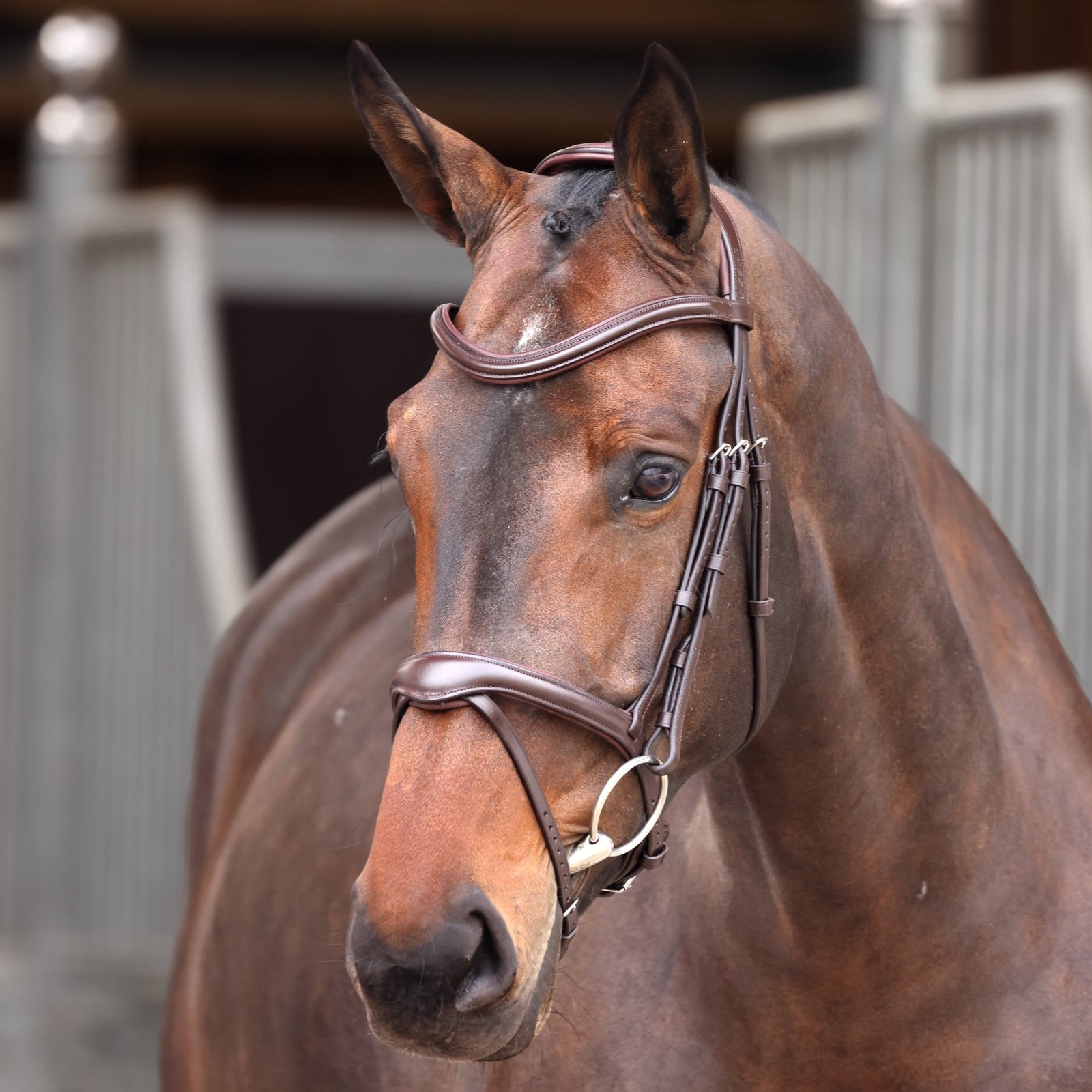 Velociti Lusso Elite Flash Bridle - Nags Essentials