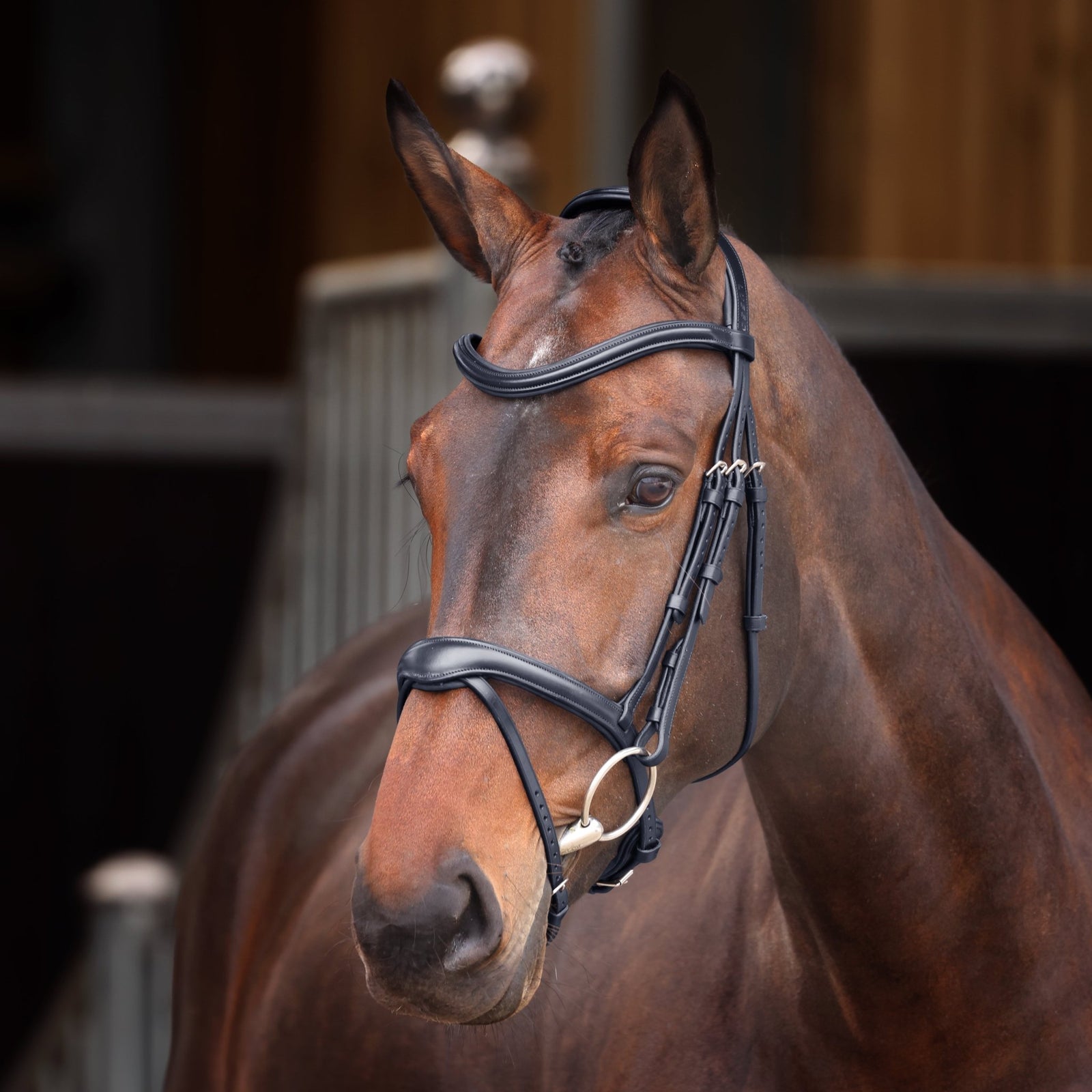 Velociti Lusso Elite Flash Bridle - Nags Essentials
