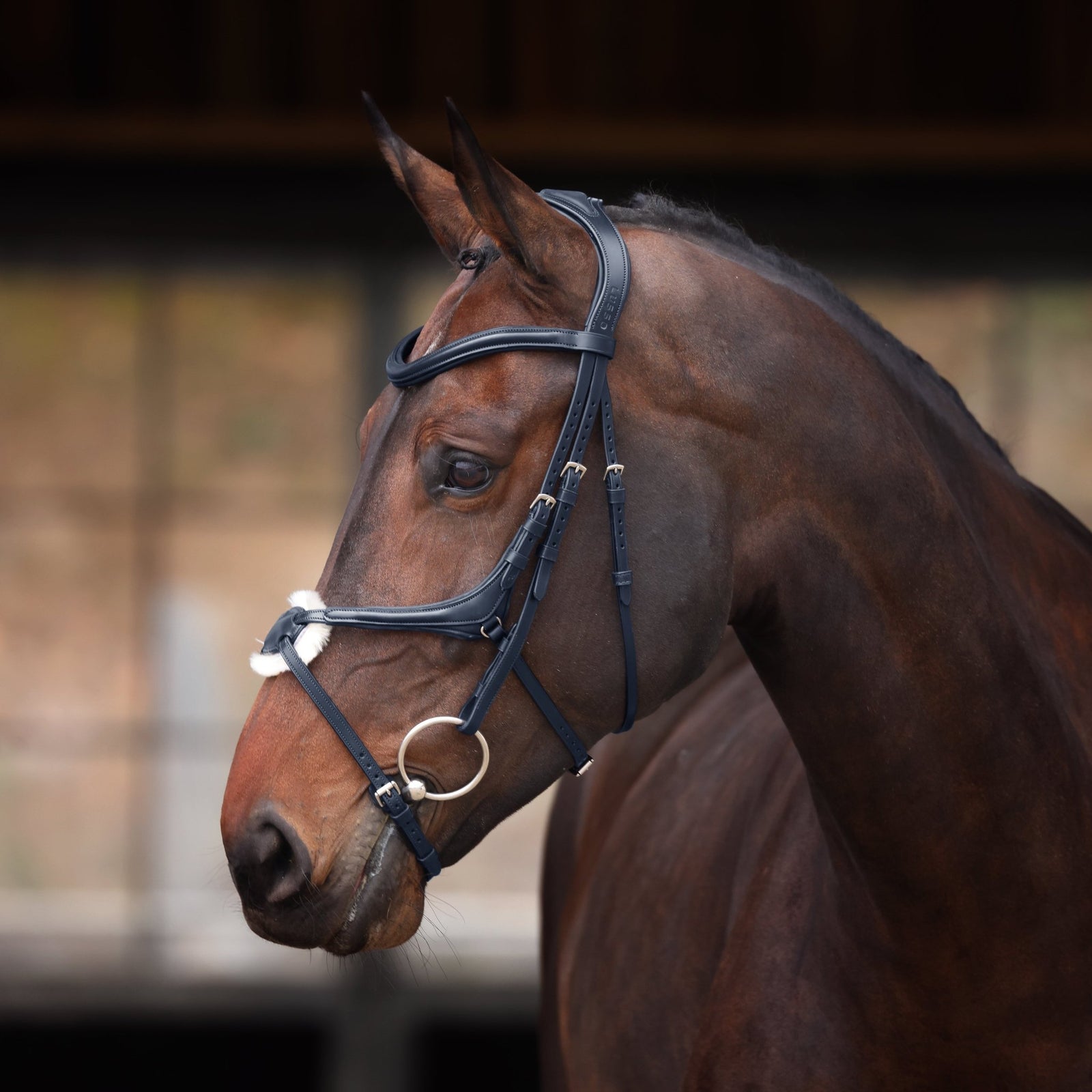 Velociti Lusso Elite Grackle Bridle - Nags Essentials