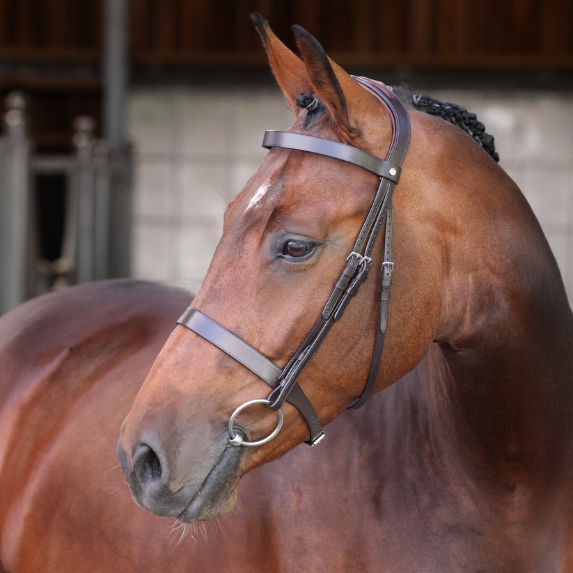 Velociti LUSSO Elite Hunter Bridle - Nags Essentials