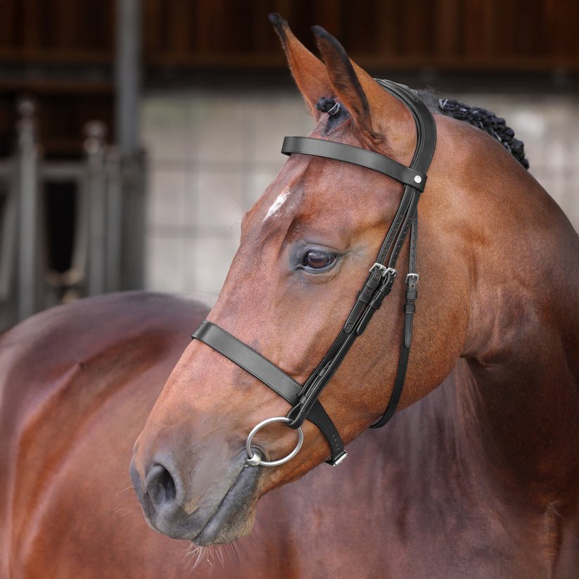 Velociti LUSSO Elite Hunter Bridle - Nags Essentials