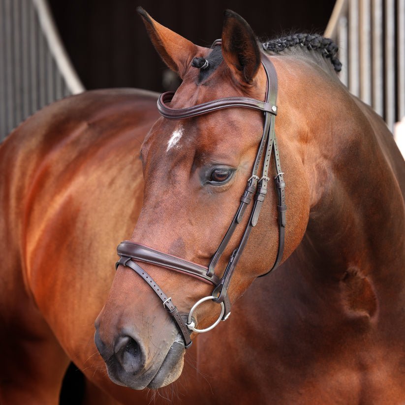 Velociti LUSSO Elite Padded Raised Flash Bridle - Nags Essentials