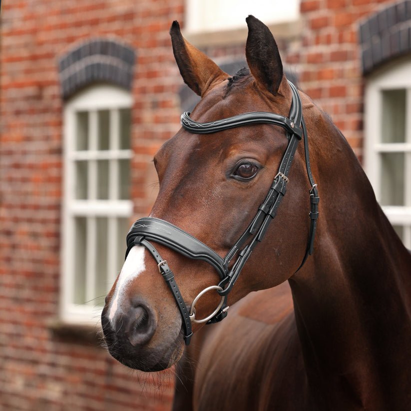 Velociti LUSSO Opus 180M Dressage Flash Bridle - Nags Essentials