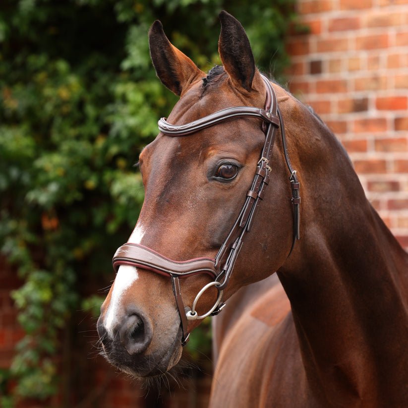 Velociti LUSSO Opus 180M Ergonomic Flash Bridle - Nags Essentials