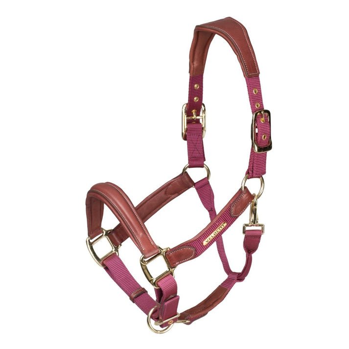 Velociti LUSSO Padded Leather Headcollar - Nags Essentials