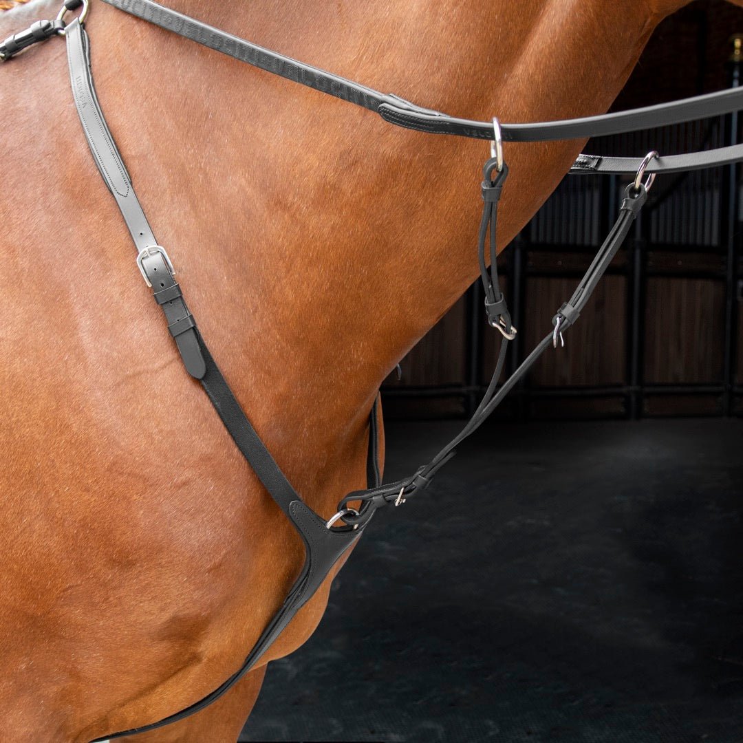 Velociti RAPIDA Breastplate - Nags Essentials