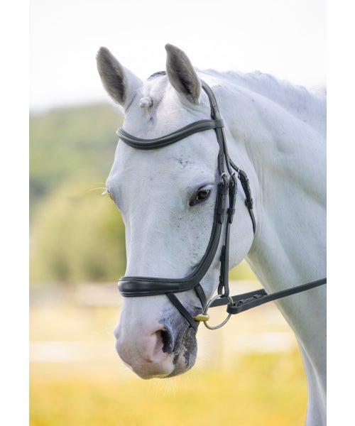 Velociti RAPIDA Ergonomic Curved Flash Bridle - Nags Essentials
