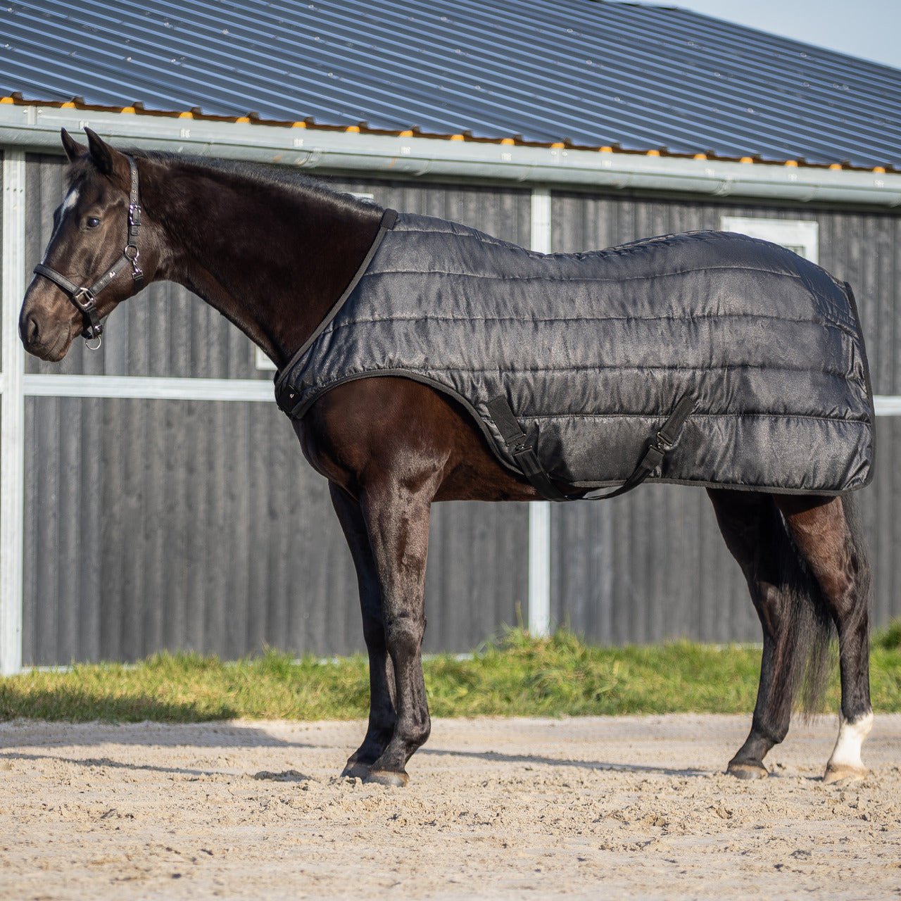 Walker Rug 100g Glitter - Nags Essentials
