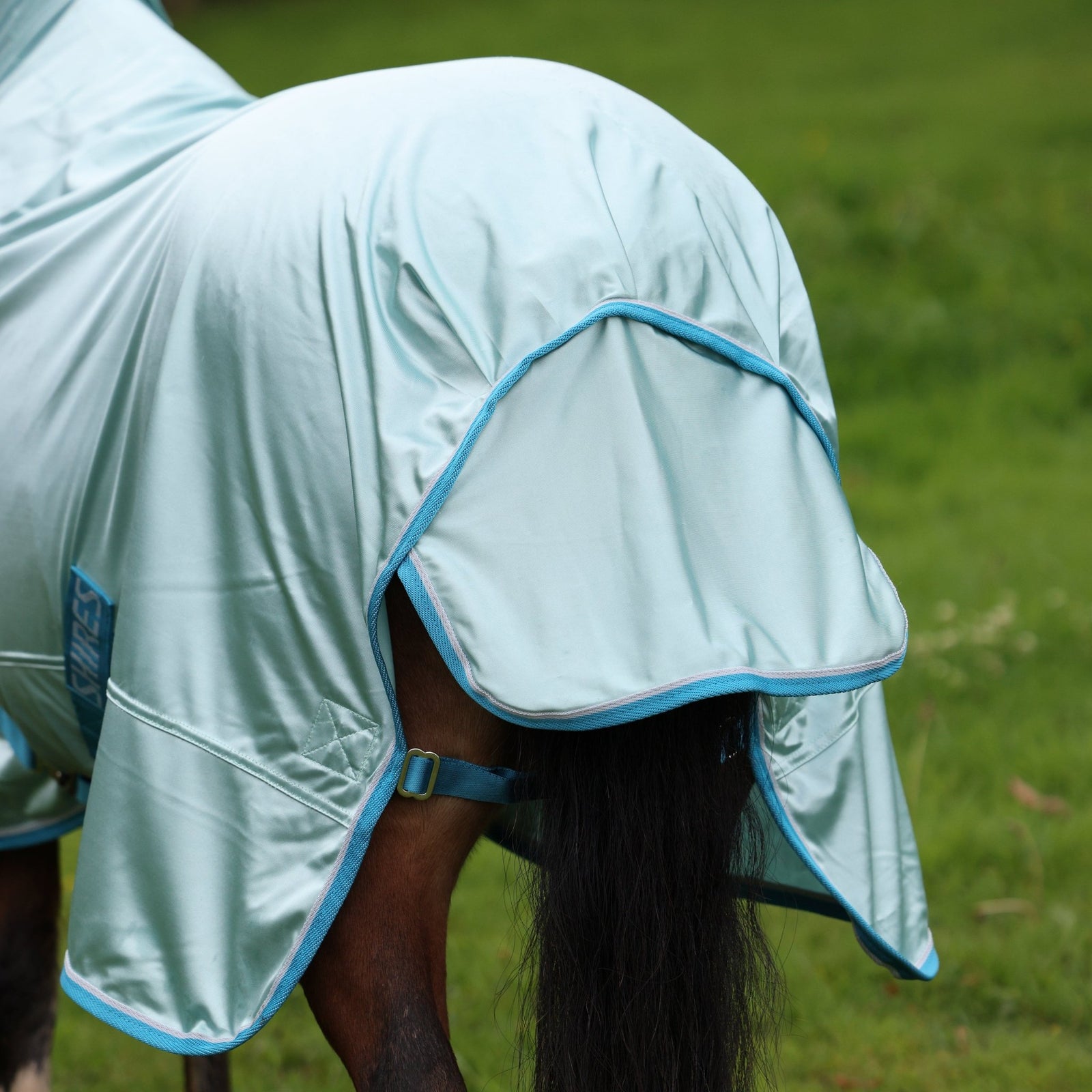 Winnie & Me Fly Combo Rug - Nags Essentials