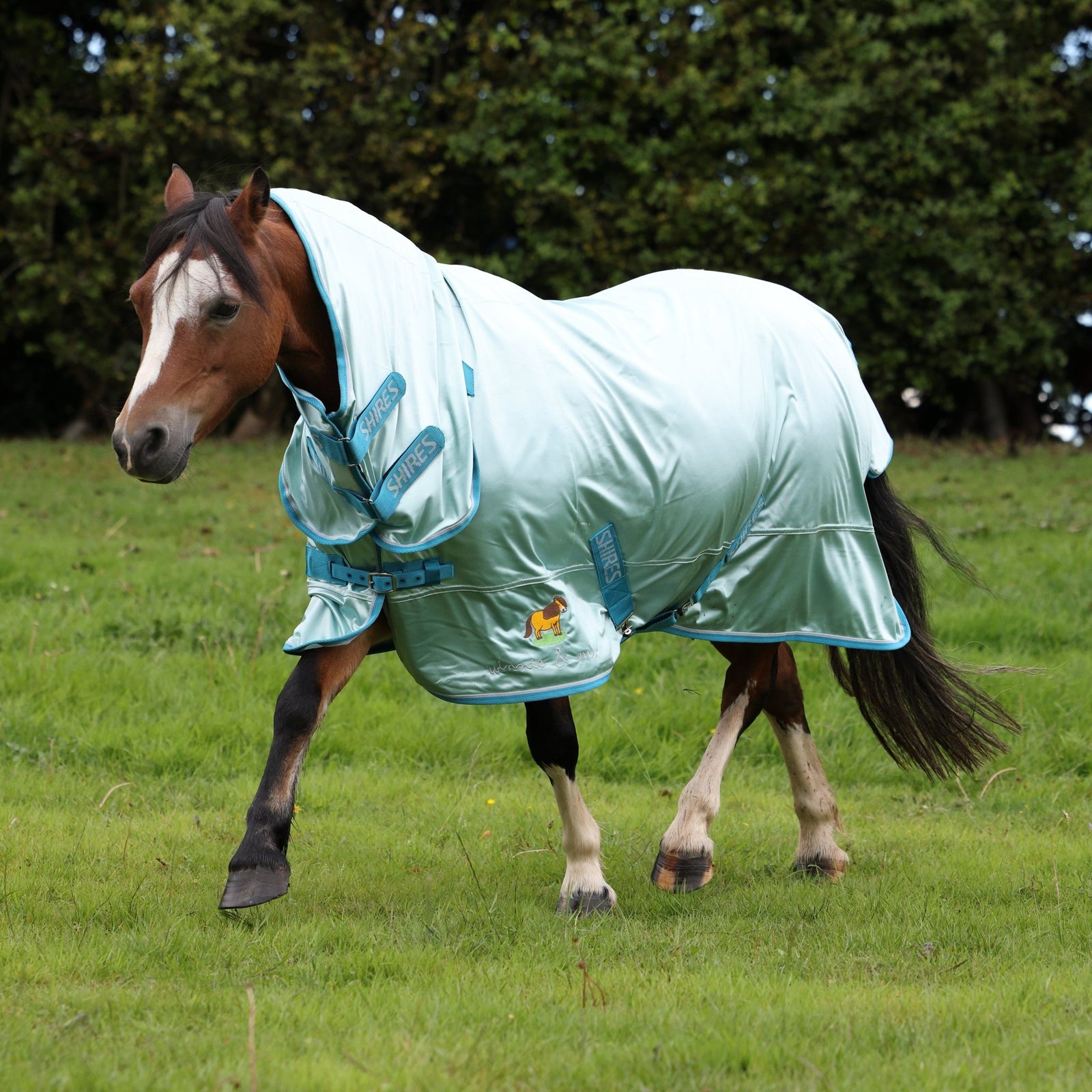 Winnie & Me Fly Combo Rug - Nags Essentials