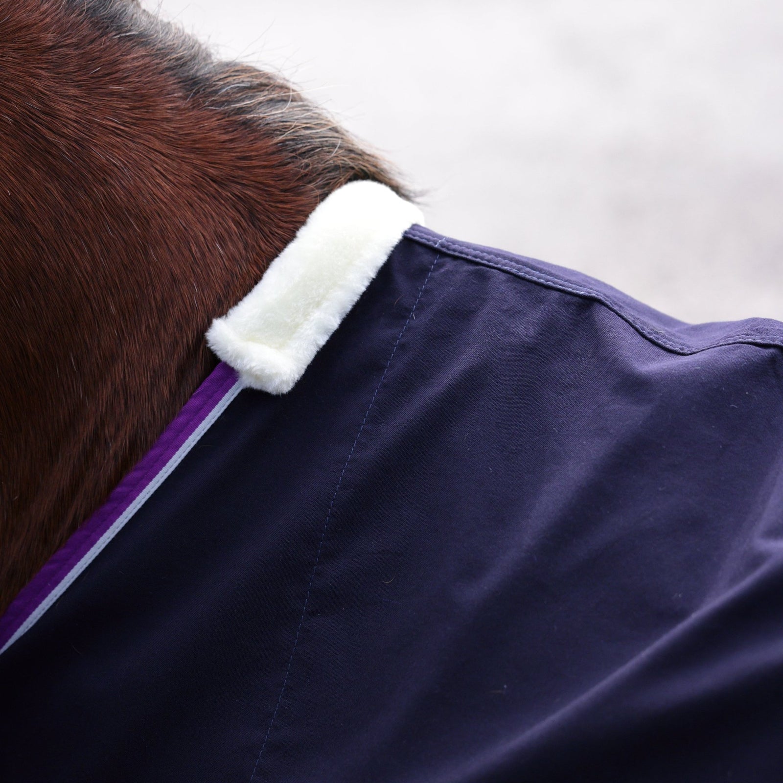 Winnie & Me Stable Sheet - Navy - Nags Essentials