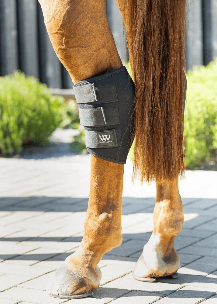 Woof Wear Hock Boot - Nags Essentials