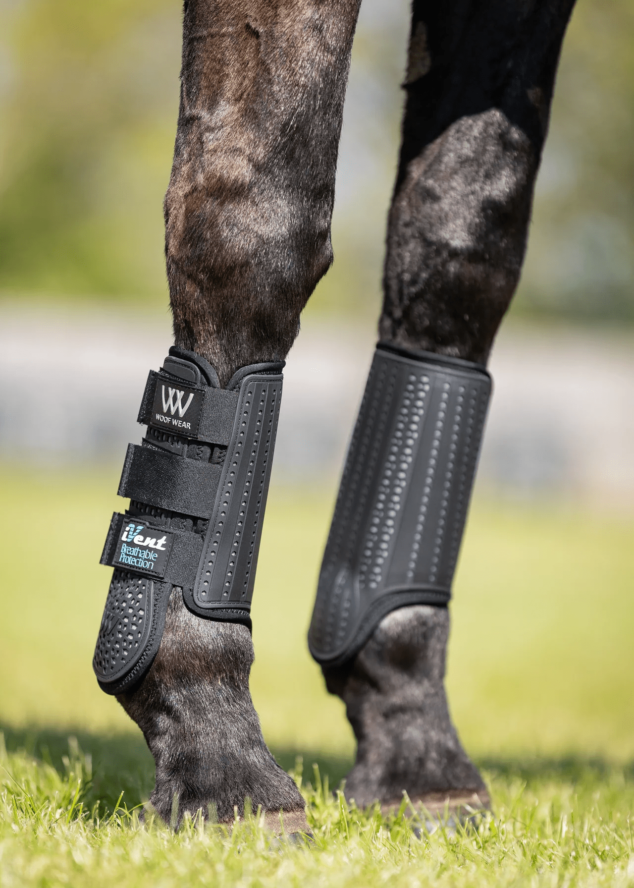 Woof Wear iVent Event Boot Front - Nags Essentials
