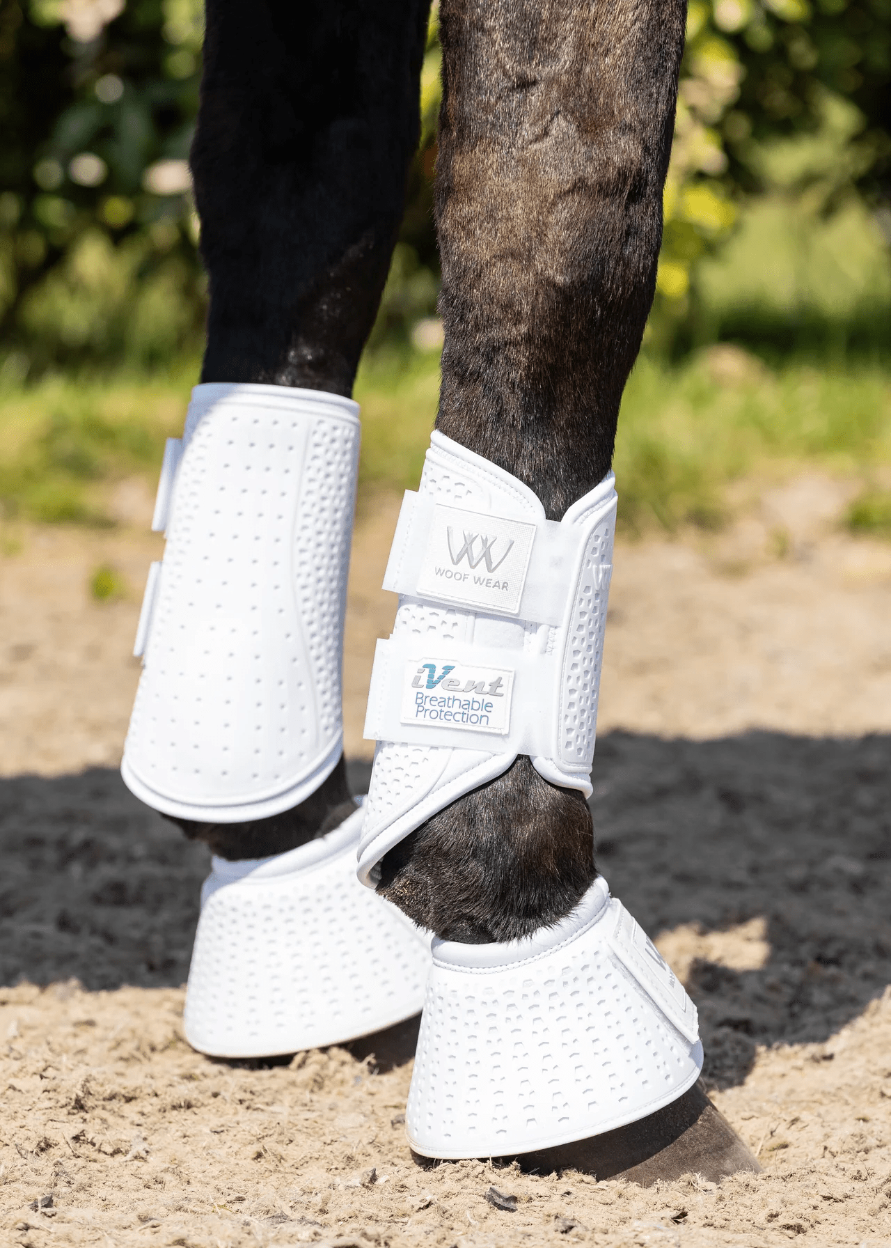 Woof Wear iVent Hybrid Boot - Nags Essentials