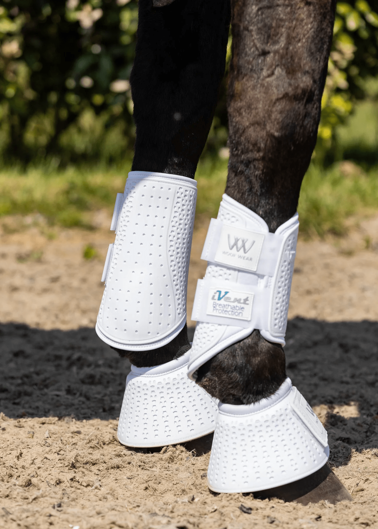 Woof Wear iVent Overreach Boot - Nags Essentials