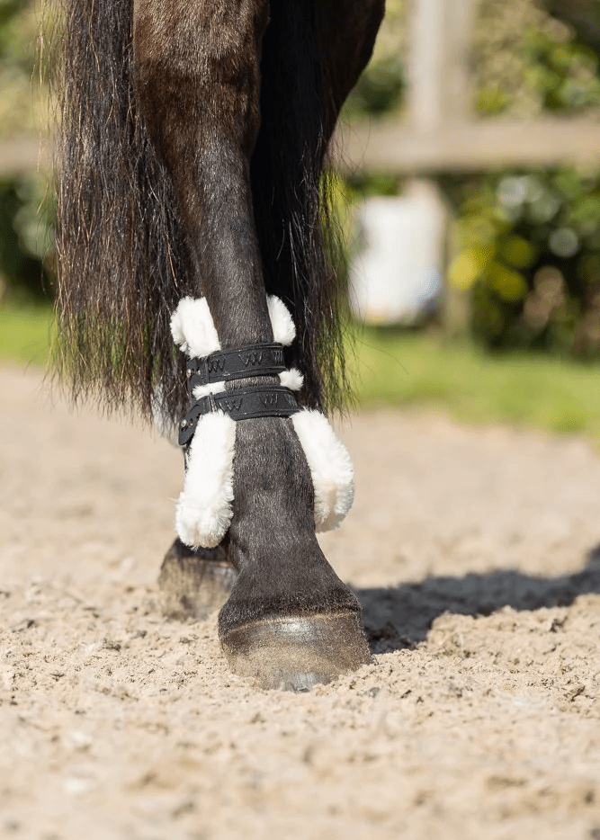 Woof Wear Vision Elegance Fetlock Boot - Nags Essentials