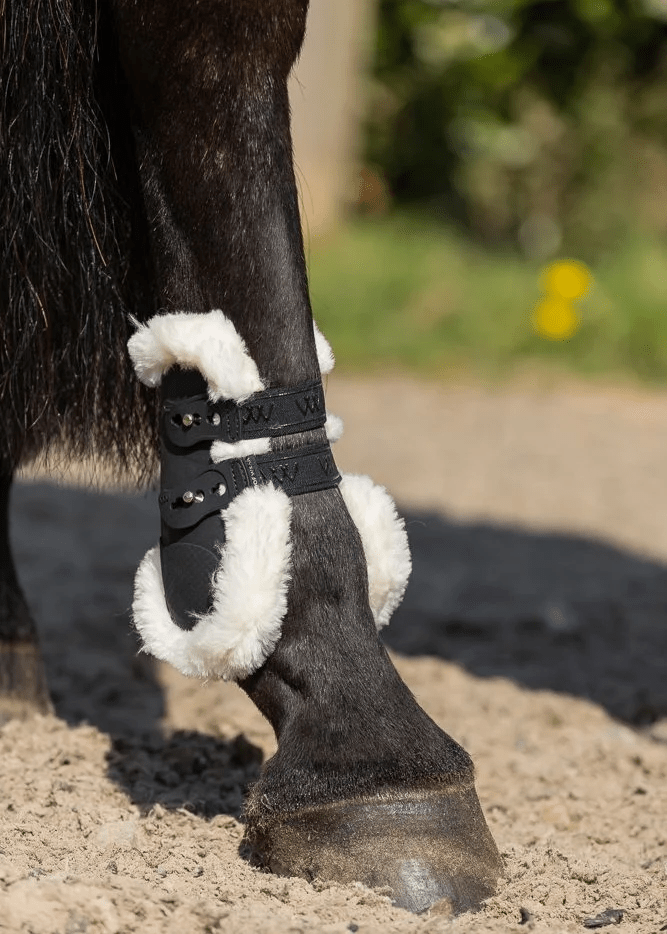 Woof Wear Vision Elegance Fetlock Boot - Nags Essentials