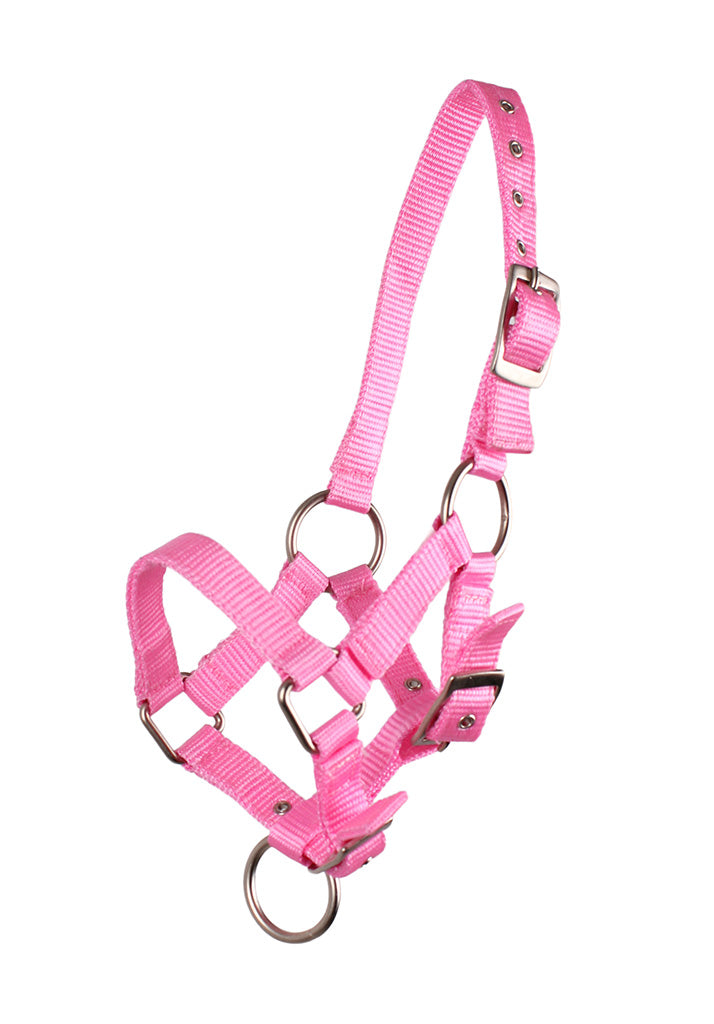 Foal Head Collar - Nags Essentials