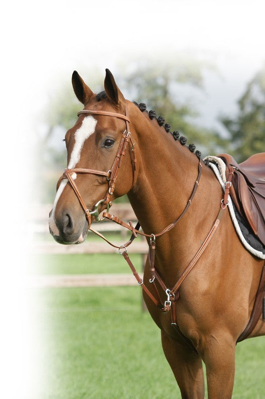 Breast Plate Luxury Stitching - Nags Essentials