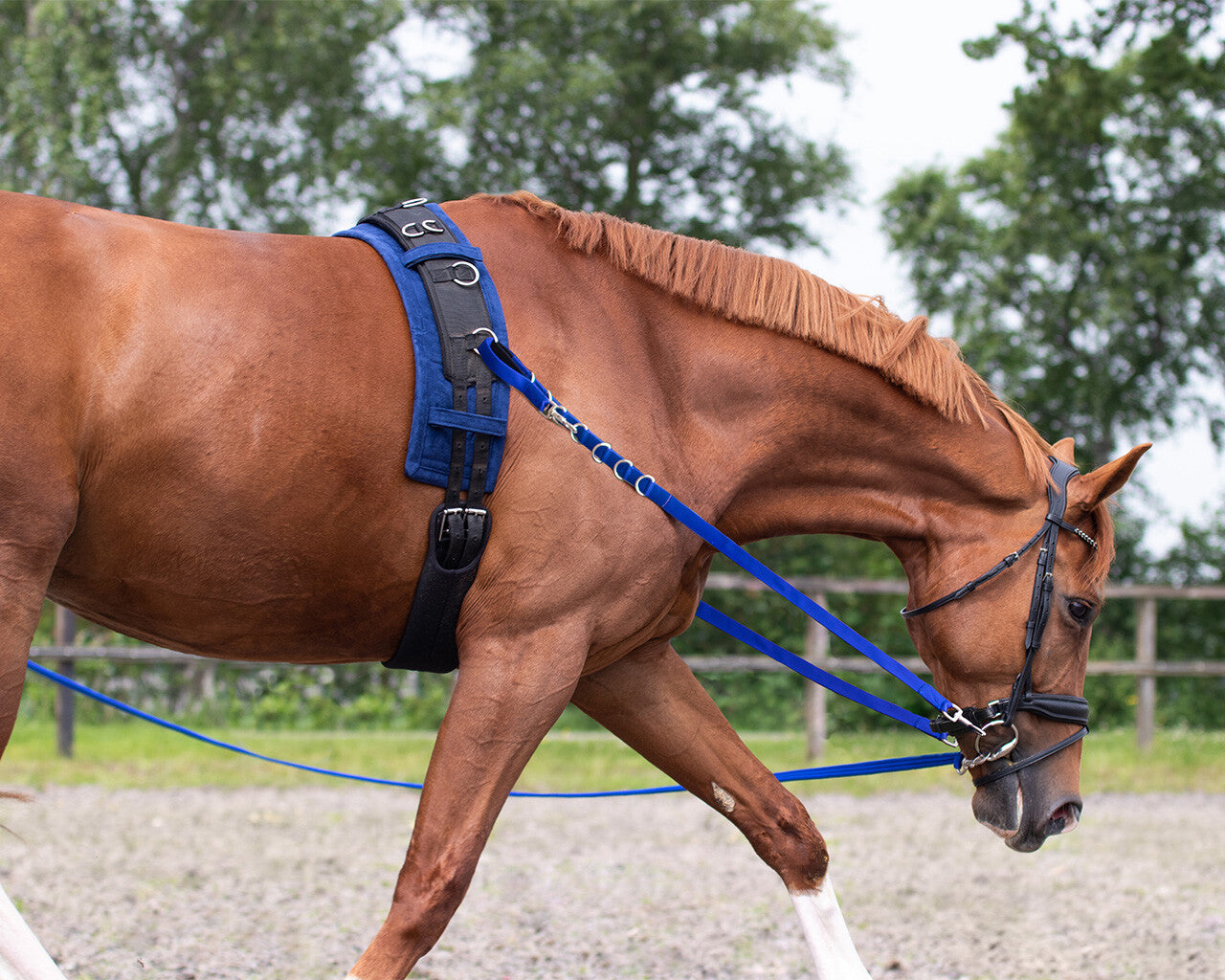Side Reins - Nags Essentials