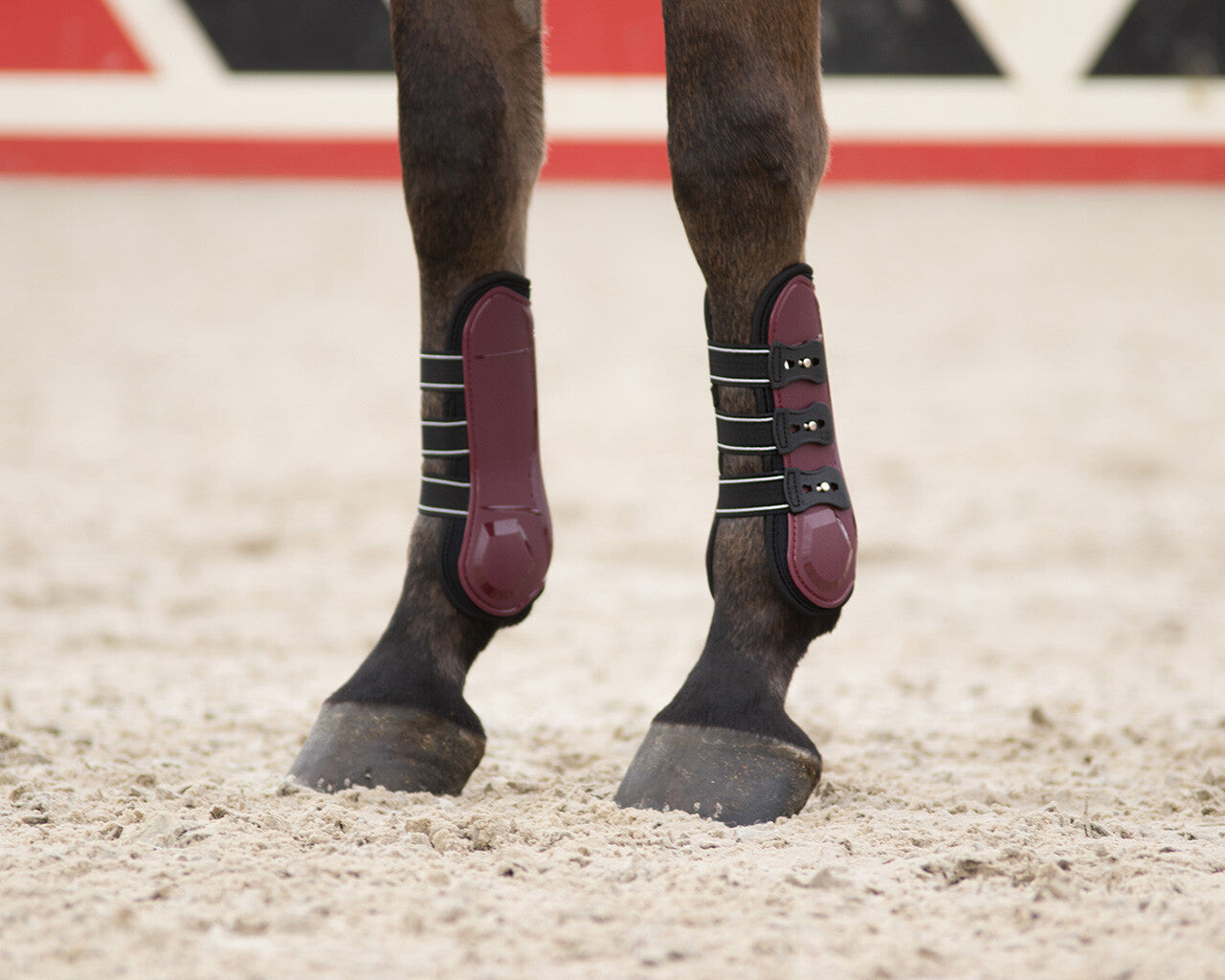 Tendon boots Champion - Nags Essentials