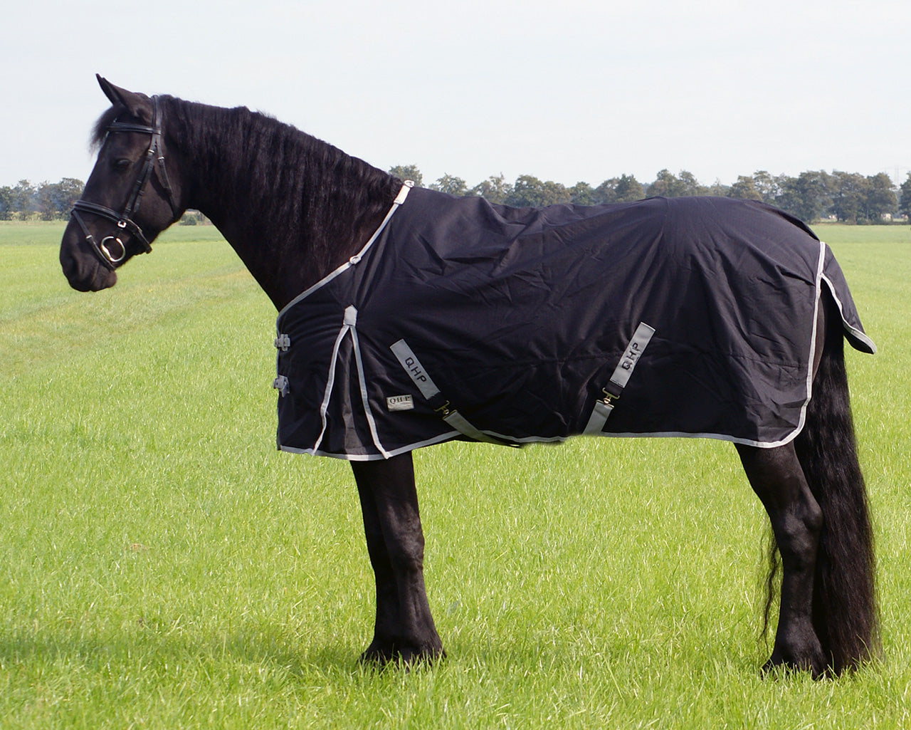 Turnout Rug XL / Heavy Horse 300g - Nags Essentials