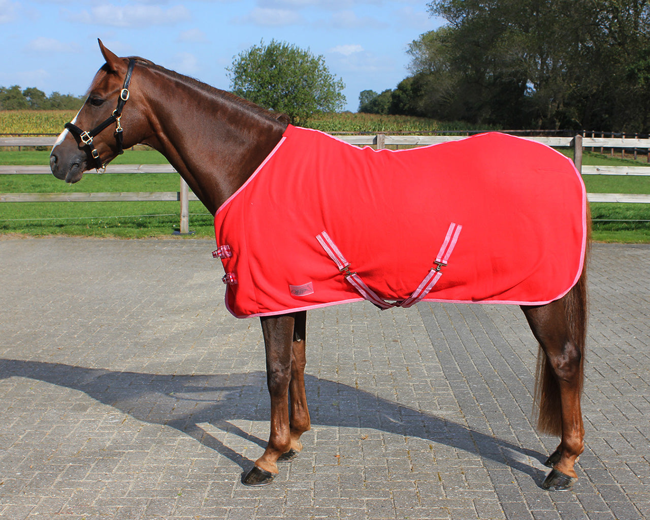 Fleece Rug - Nags Essentials