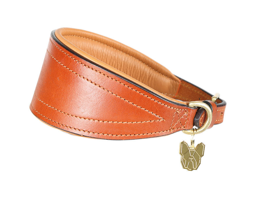 Digby & Fox Padded Greyhound Collar - Nags Essentials